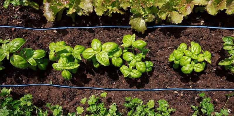 تصویر 1 از نوار آبیاری تیپ با دوام برای آبیاری نوین